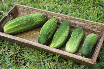Image of Five Fresh Cucumbers
