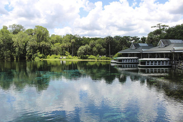 Image of a Florida Spring
