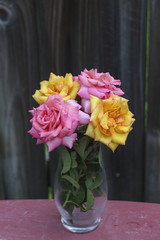 Image of Pink and Yellow Roses
