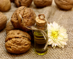 Walnut oil and nuts on coarse cloth sacking and flower