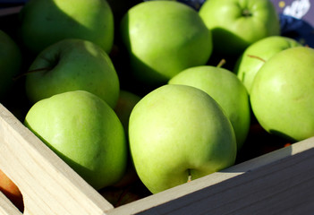 Green apples in a box. Natural summer sunlight.