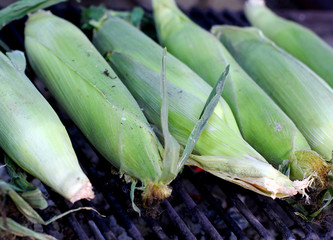 Fresh roasted or grilled corncobs. Grilled green maize corn for sale on the street.