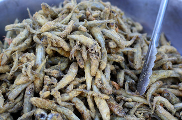 Delicious crispy fried capelin small fish in big bowl street fast food festivale