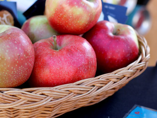 Rural farm natural organic autumn apples on wicker plate