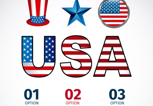 United States Data Infographic with Icon Set