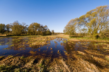 Łąki nad rzeką Supraśl © podlaski49