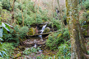 smokies-waterfall