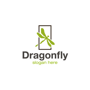 Dragonfly logo design vector