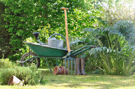 brouette et outils de jardinage dans jardin vert