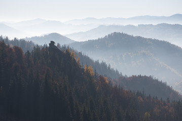 Autumn landscape with a rock in the forest