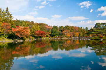 Obraz premium 紅葉風景