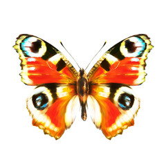 butterfly,red,, isolated on a white