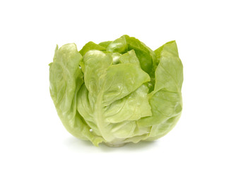 Fresh lettuce salad,Fresh vegetable salad on white background..