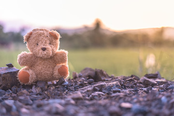 Teddy bear doll toy watching sunset alone with old vintage tone