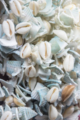 Seashells on rope thread for background, colorful sea shells of