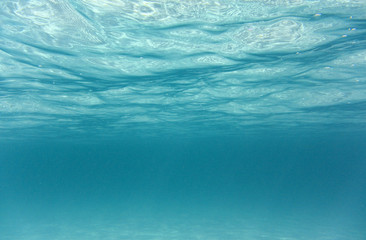 Under the water surface  - 9909