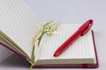open a new gift notebook in the box with a red pen and lily of t