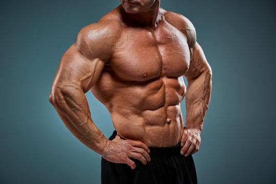 torso of attractive male body builder on gray background.