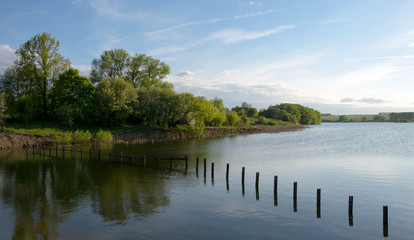 Fototapeta premium Summer landscape with river