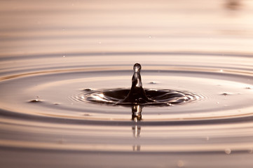 Fototapeta na wymiar Water Droplet Falling Into A Pond
