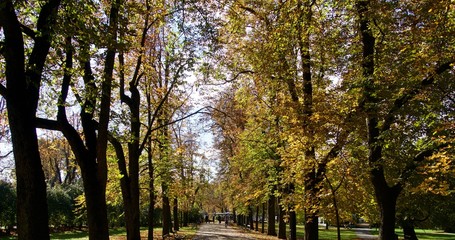 Herbstlicher Park