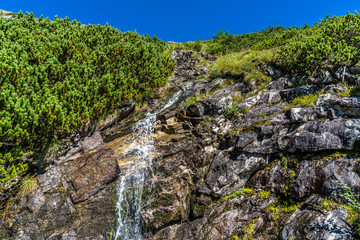 Sturzbach auf felsigem Gelände in den Hochalpen von Österreich in Kärnten