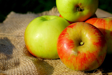 Apple still life Ripe natural organic apples on wooden background