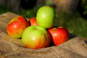 Season autumn natural organic apples on wooden, blurred green grass and coarse cloth sacking background with place for you text or logo.
