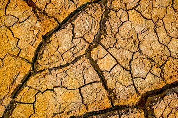 Dried earth with cracks on summer sunny day, closeup view