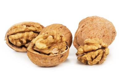 Walnut