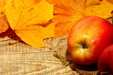 Red close up ripe natural organic apple on fall autumn leaves on wooden background with copyspace