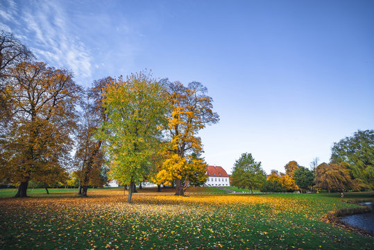 Autumn landscape with fallen leaves