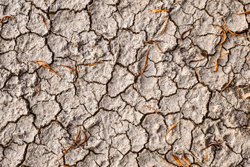 Dry cracked sand background with dry leaves, clay desert texture
