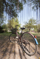 Fototapeta premium old vintage bike near the tree