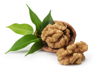 Walnut