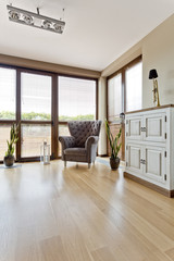 Interior with armchair and stylish commode