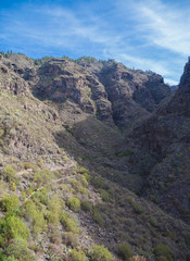 Beautiful landscapes of Barranco del Infierno in Tenerife. Canary islands, Spain