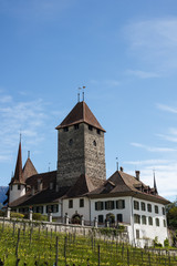 Fototapeta na wymiar Spiez Castle, Spiez, Switzerland