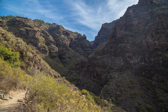 Beautiful landscapes of Barranco del Infierno in Tenerife. Canary islands, Spain