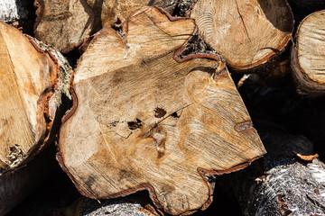Natural wooden background. Pile of wood logs Trunks of trees cut