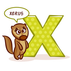 ABC ZOO Alphabet Letter X Xerus