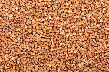 buckwheat