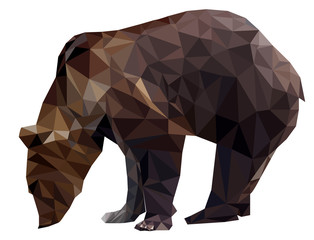 Fototapeta premium Vector Geometric polygon silhouette brown bears grizzly on transparency white background