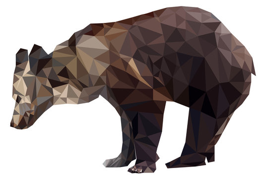 Vector Geometric polygon silhouette brown bears on transparency white background isolated