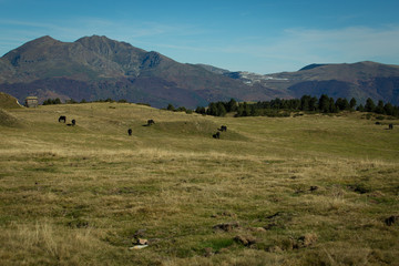 Plateau de Beille, Ariège