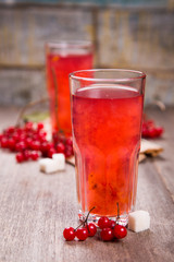 fresh hot viburnum tea