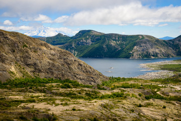 Fototapeta premium Mount St. Helens