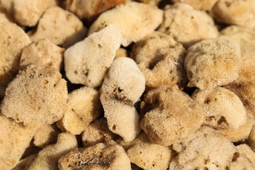 Sponges in a Gift Shop in Bodrum, Turkey
