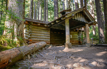 Rain Forest, Olympic National Park