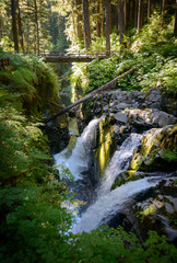 Sol Duc Falls, Olympic National Park